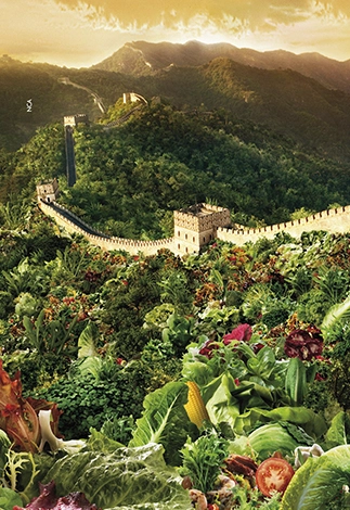 Club VIPS. Imagen de una muralla